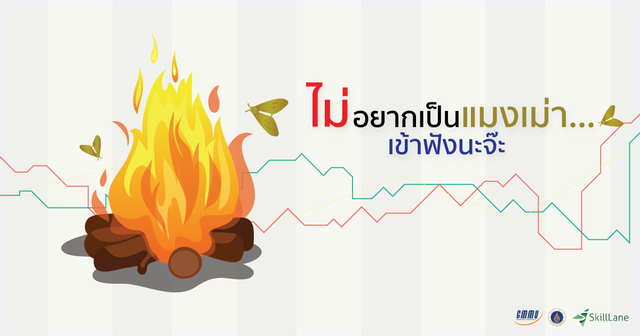 ไม่อยากเป็นแมงเม่า...เข้าฟังนะจ๊ะ