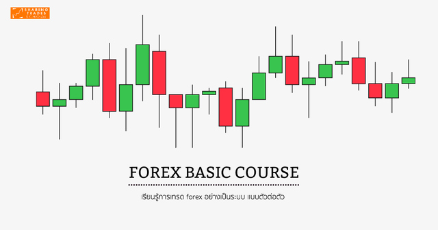 Forex fundamental course