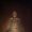 423044 114804905315129 1382828561 n