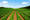 Farming