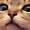 13220955 270138166666399 8446759830107115885 n