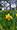 17907 755580704555106 3281757005891517046 n