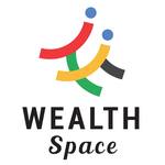 The Wealth Space