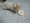 Img20161104221609